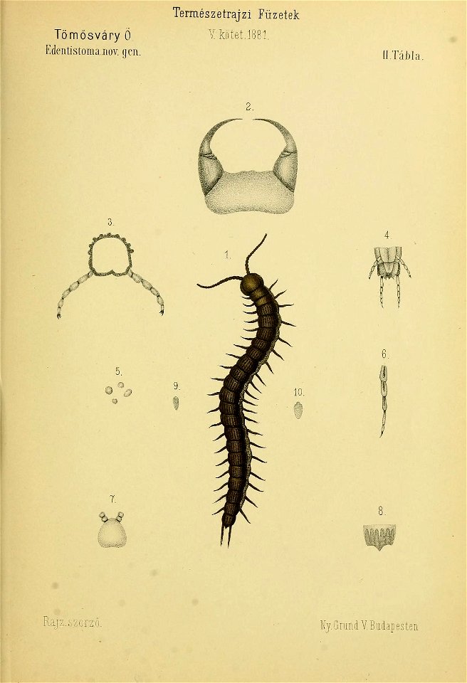 n416_w1150