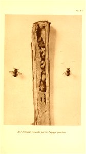 n132_w1150