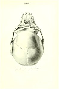 n48_w1150