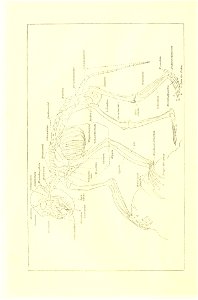 n43_w1150