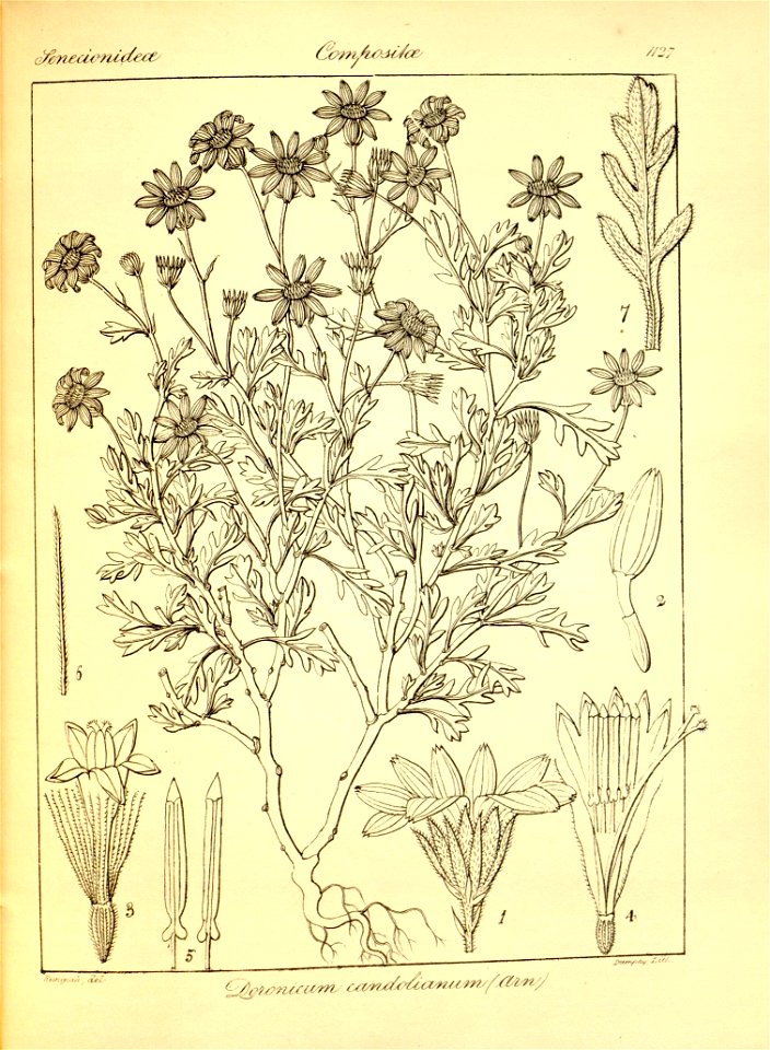 n455_w1150