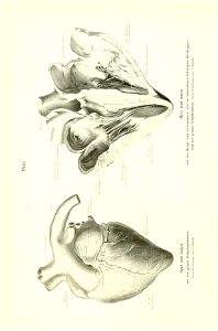 n37_w1150