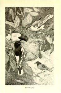 n404_w1150