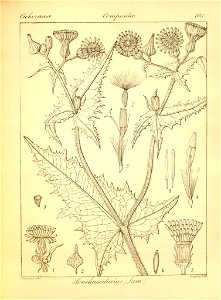 n468_w1150