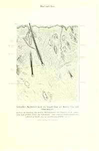 n36_w1150