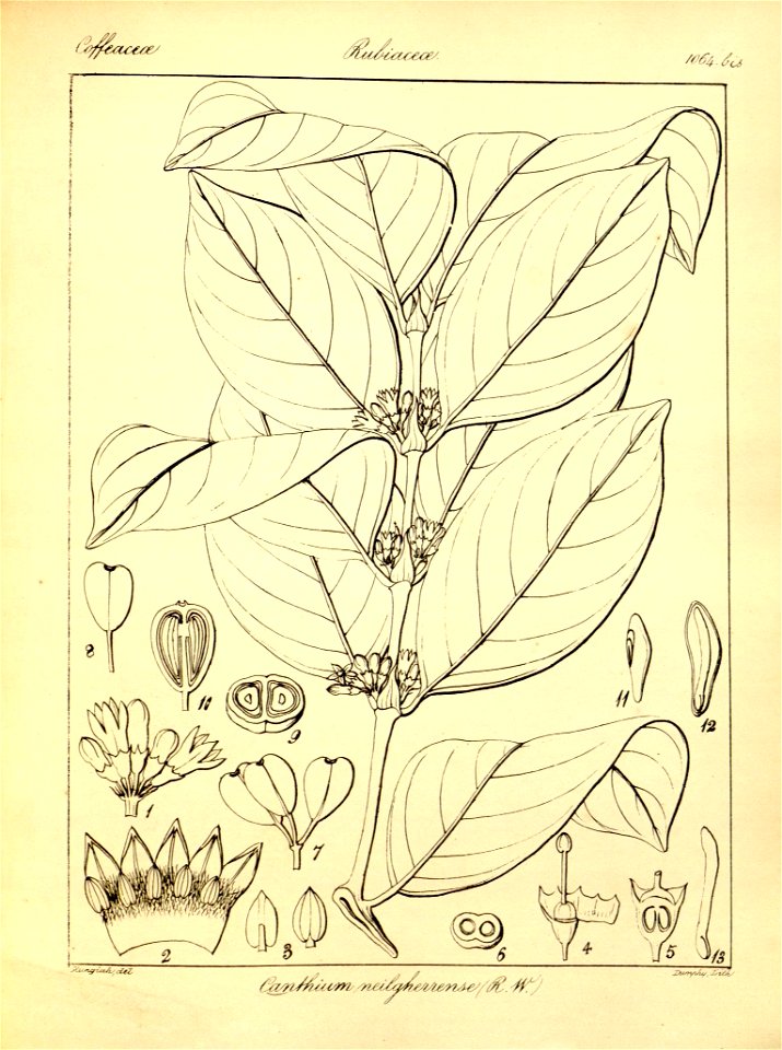 n392_w1150