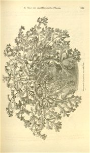 n402_w1150