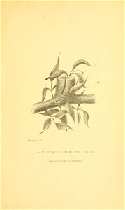 n206_w1150