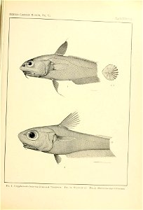 n148_w1150