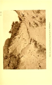 n316_w1150