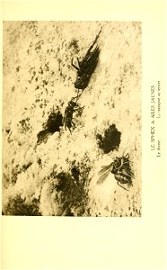 n130_w1150