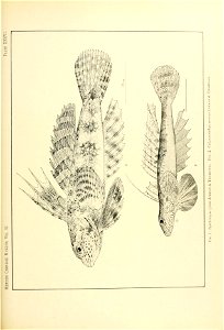 n144_w1150