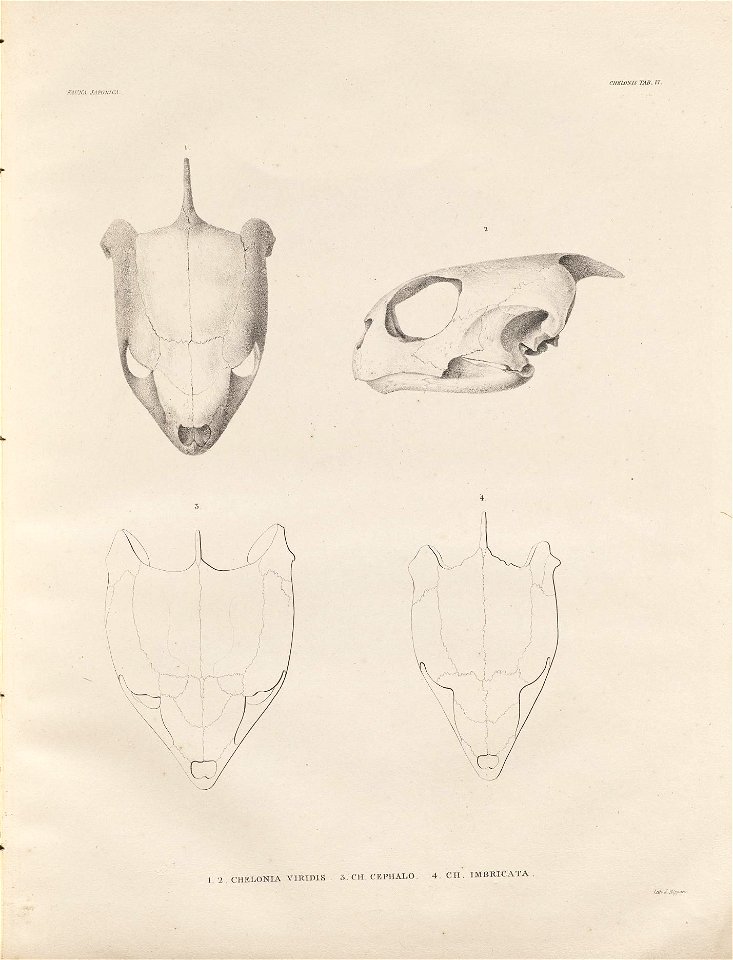 n186_w1150