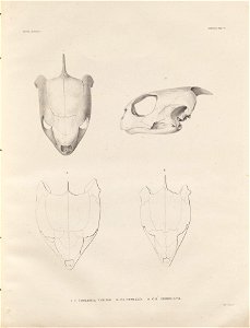 n186_w1150