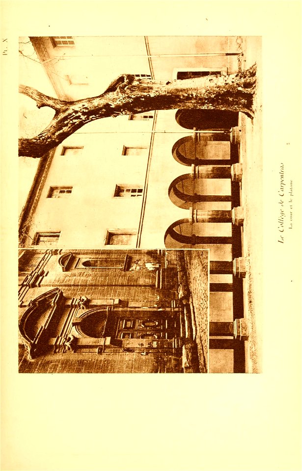 n232_w1150