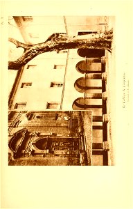 n232_w1150