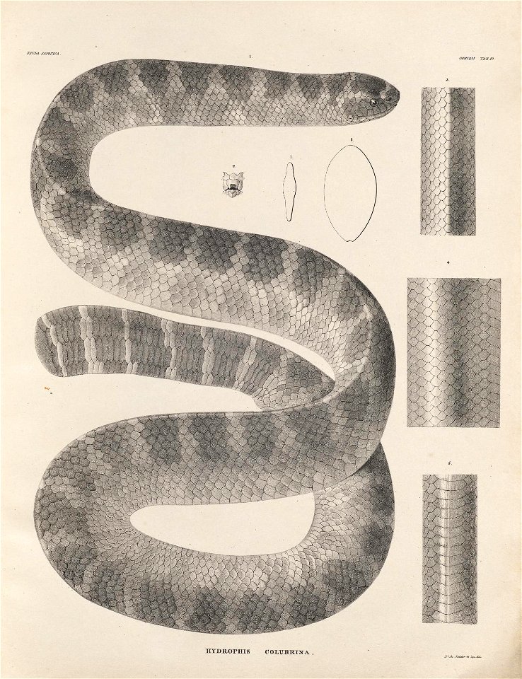 n212_w1150