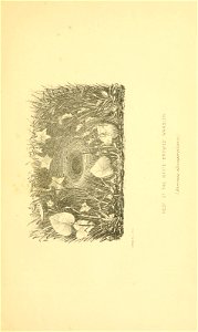 n154_w1150
