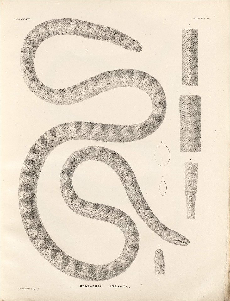 n206_w1150