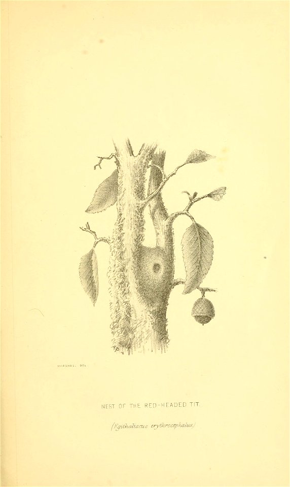 n94_w1150