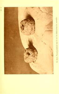 n122_w1150