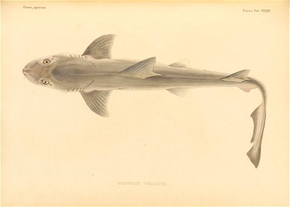 n634_w1150