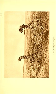 n110_w1150