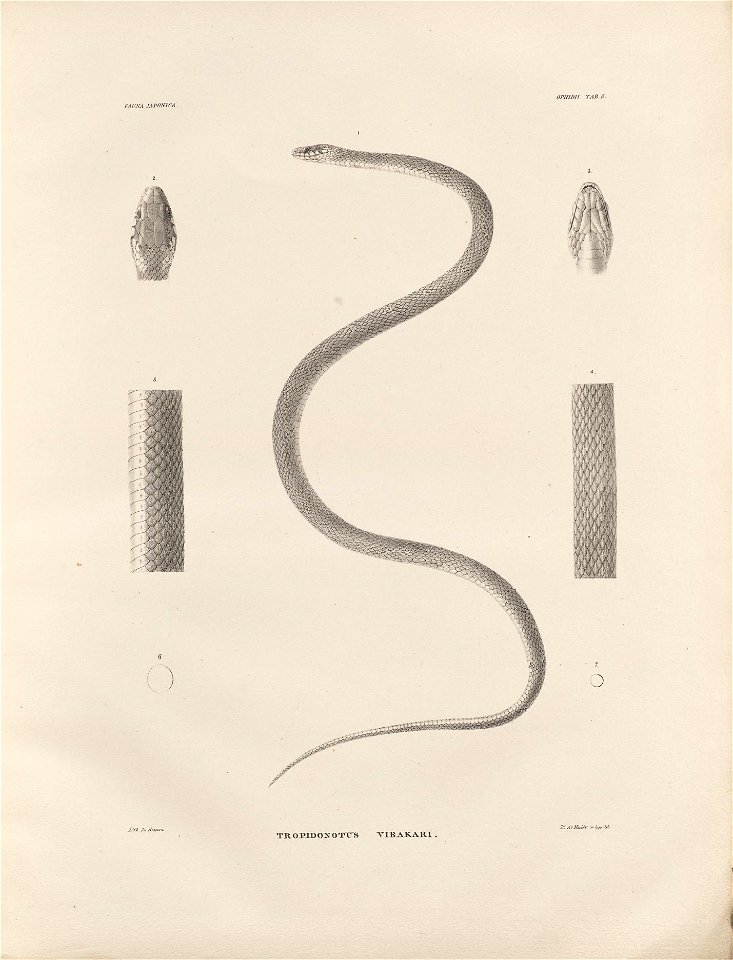 n202_w1150