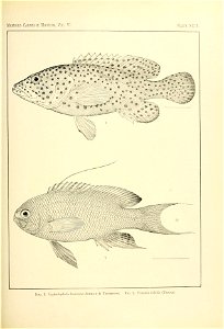 n130_w1150