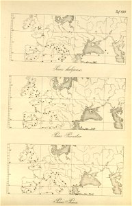 n187_w1150