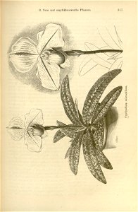 n409_w1150