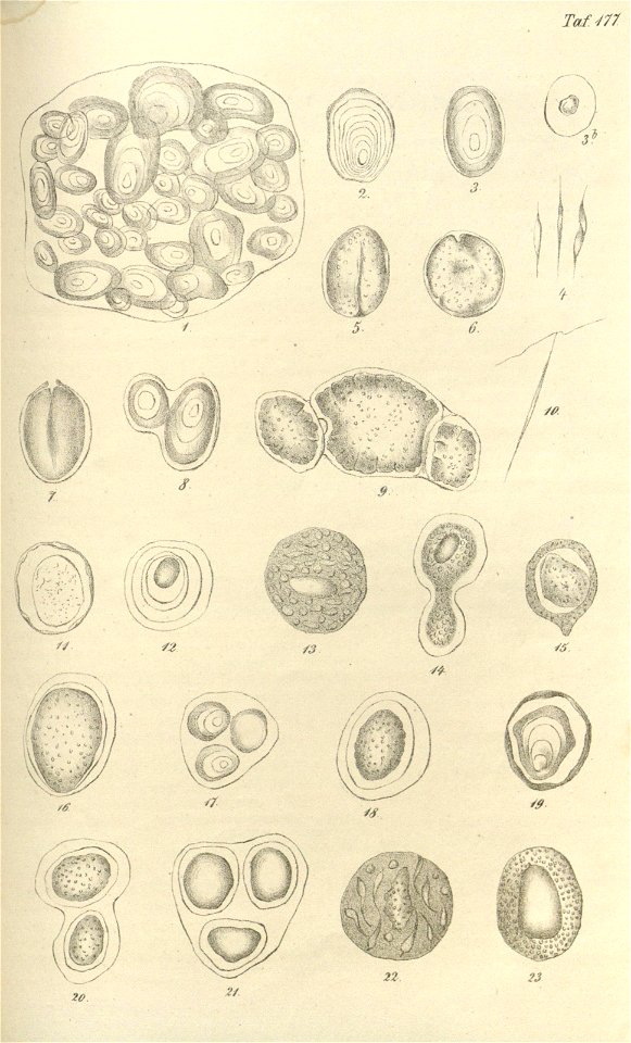 n404_w1150