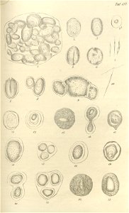 n404_w1150