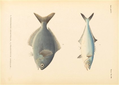 n472_w1150
