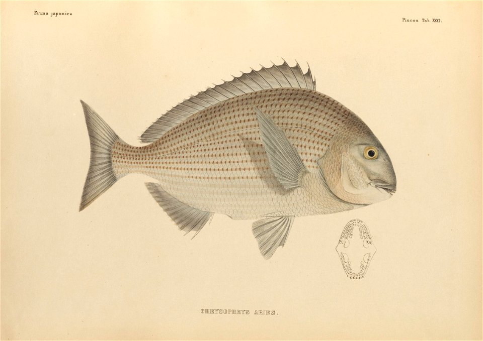 n420_w1150
