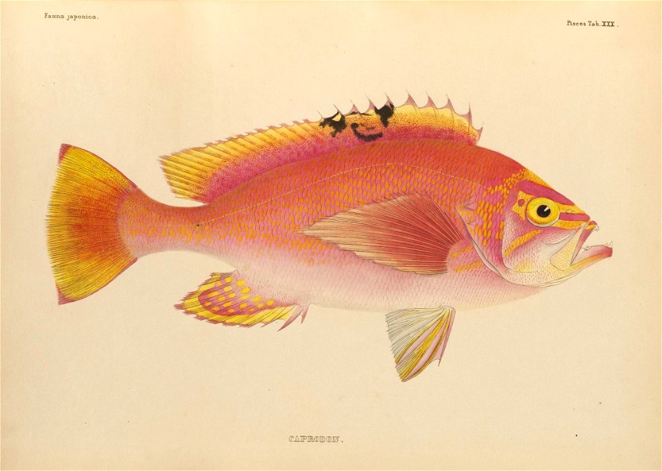 n418_w1150