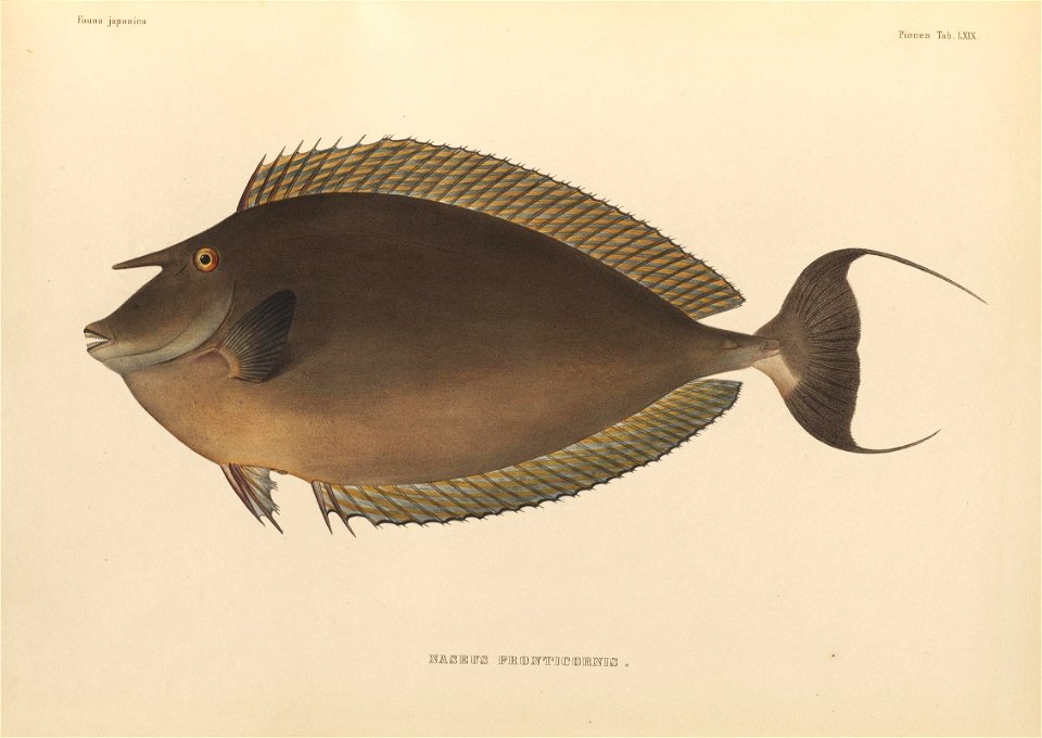 n498_w1150
