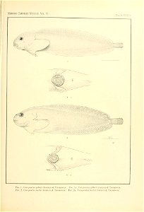 n140_w1150