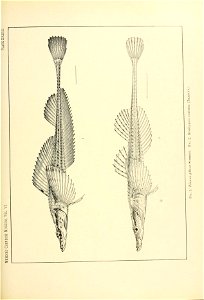 n138_w1150