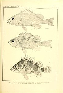 n136_w1150
