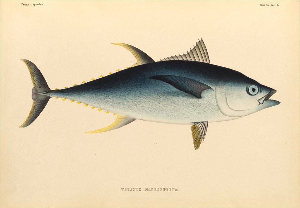n460_w1150