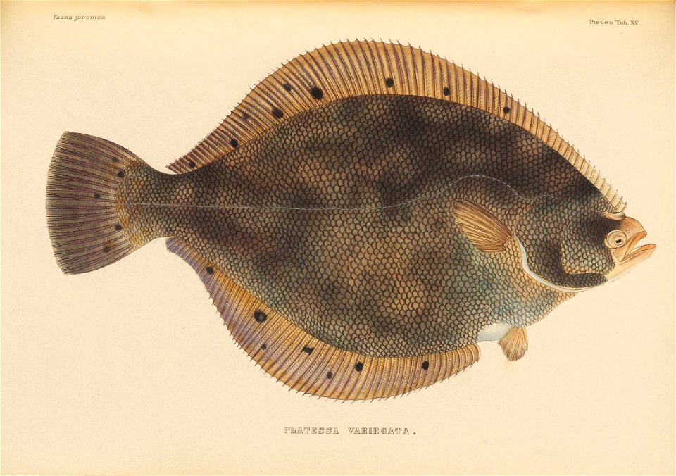 n546_w1150