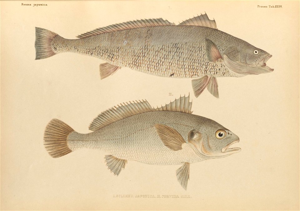 n404_w1150