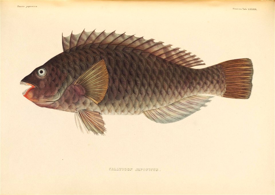 n544_w1150