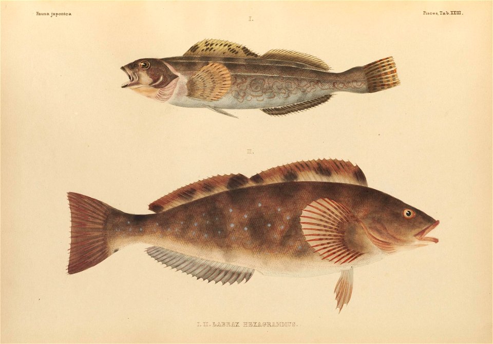 n402_w1150
