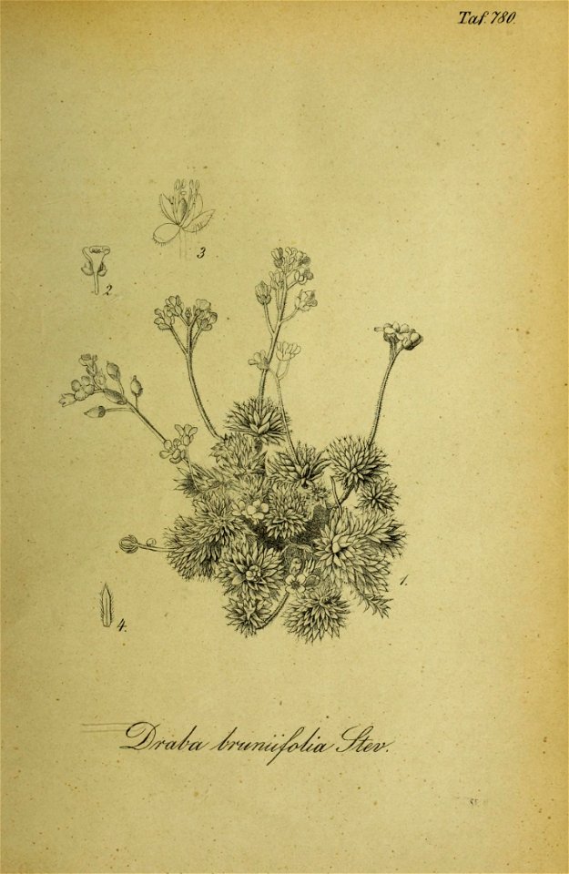n432_w1150
