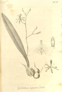 n449_w1150