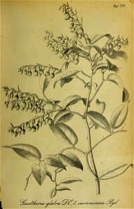 n418_w1150