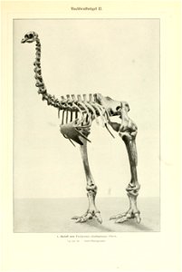 n122_w1150