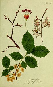 n158_w1150